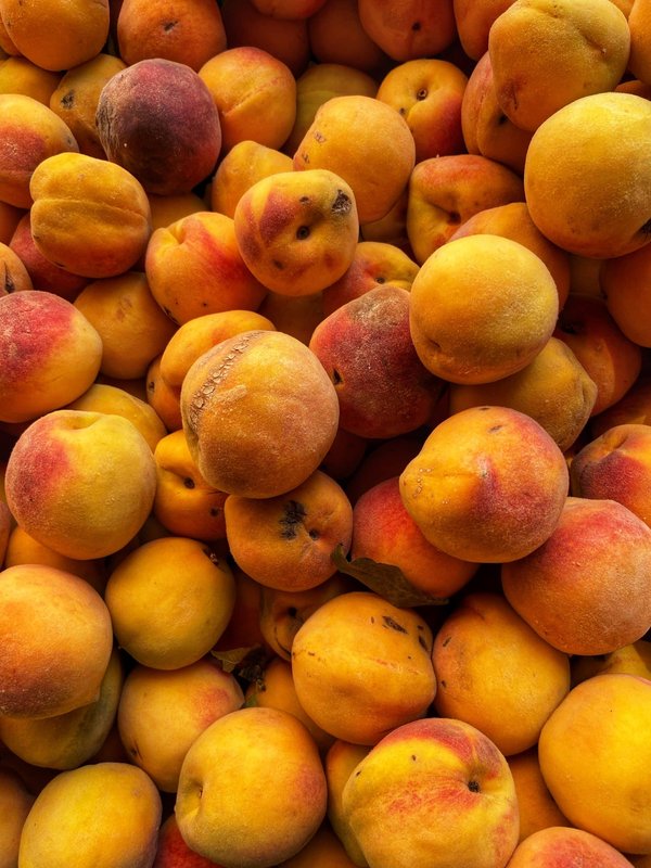 Comment choisir une location de vacances pour des séjours de pêche en haute mer ?