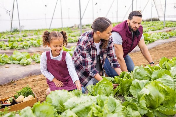 Où trouver les meilleures écoles d'art du vitrail en France ?